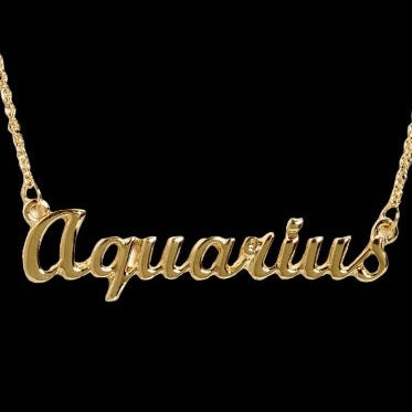 Zodiac Necklace: Aquarius
