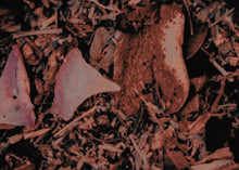 Φόρτωση εικόνας στο εργαλείο προβολής Συλλογής, Herbal Blend • Loose Incense
